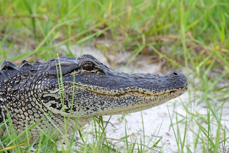 Everglades National Park