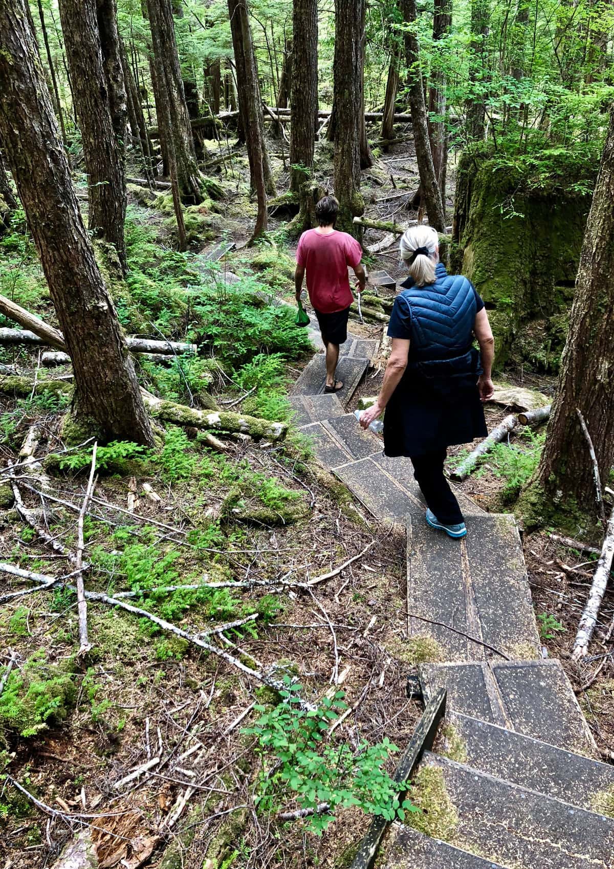 Hike Through an Alaskan Rainforest