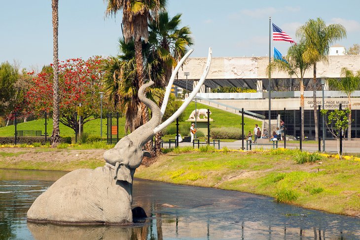 La Brea Tar Pits