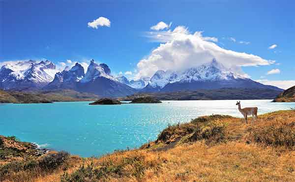 Lauca National Park