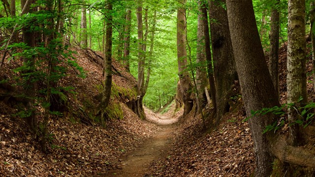 Natchez Trace Parkway