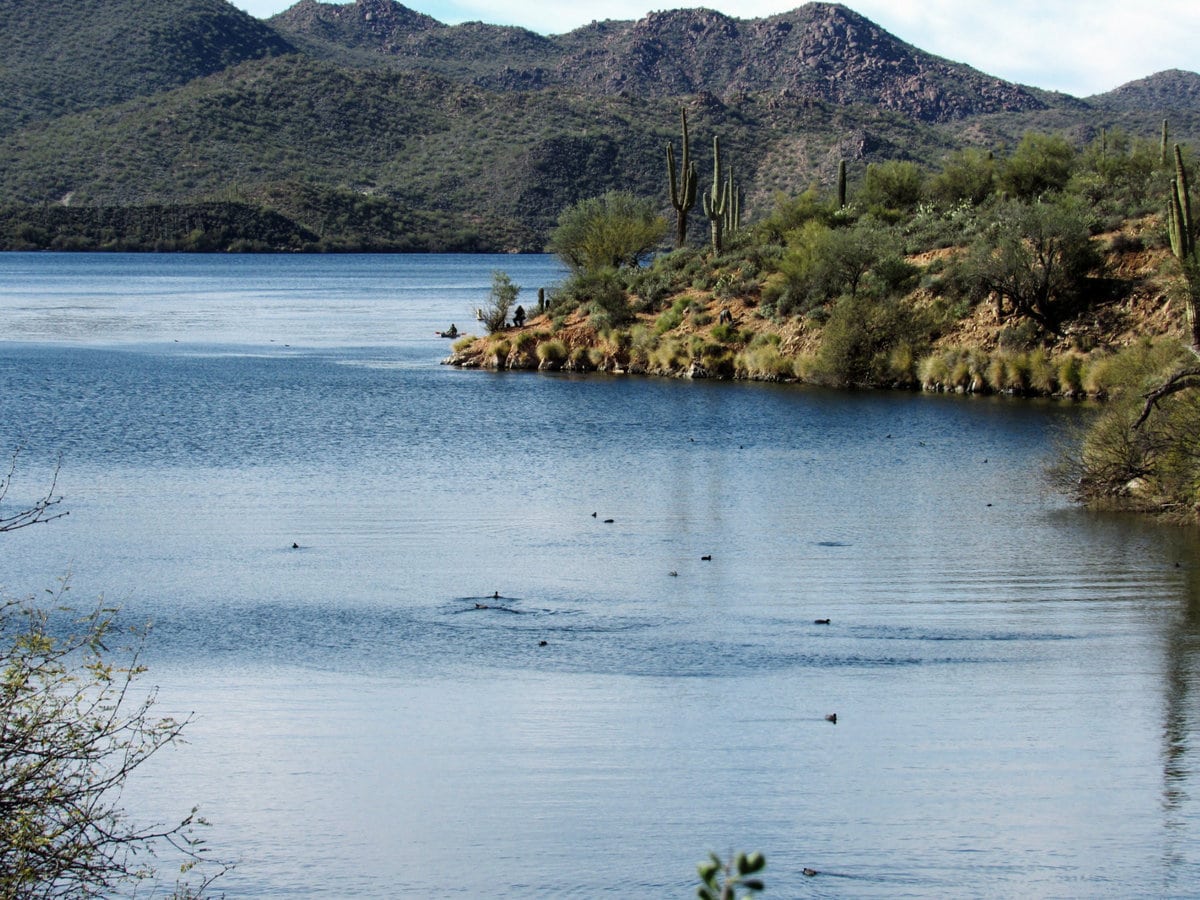 Saguaro Lake