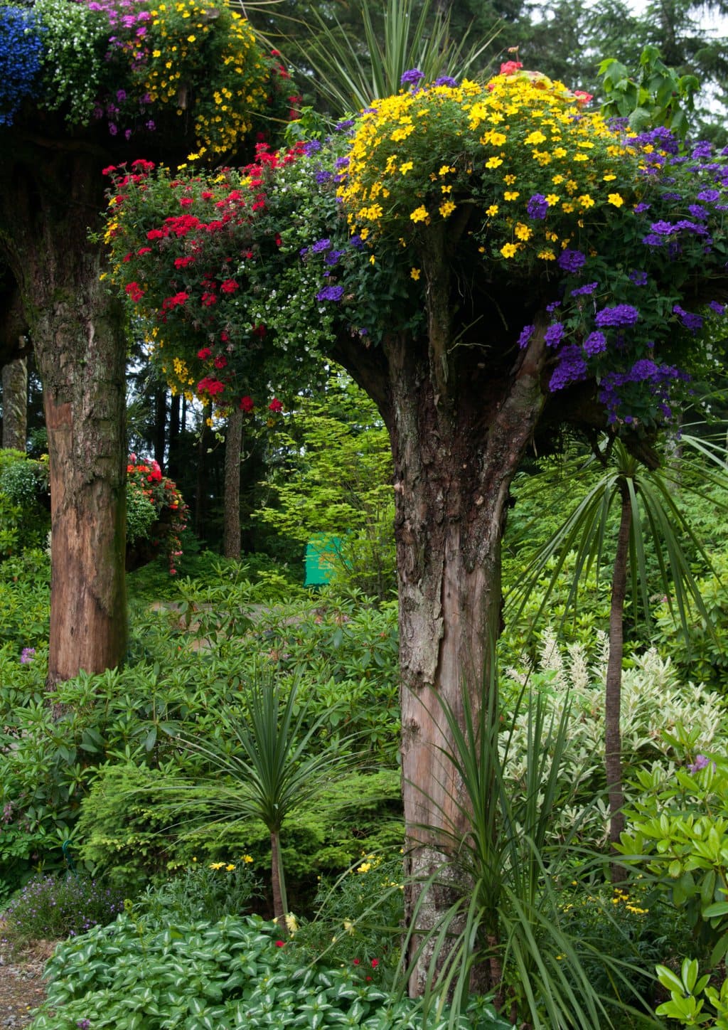 Visit the Gardens and Arboretums