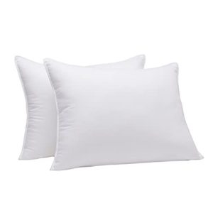 Amazon Basics Down-Alternative Pillows Two-Pack